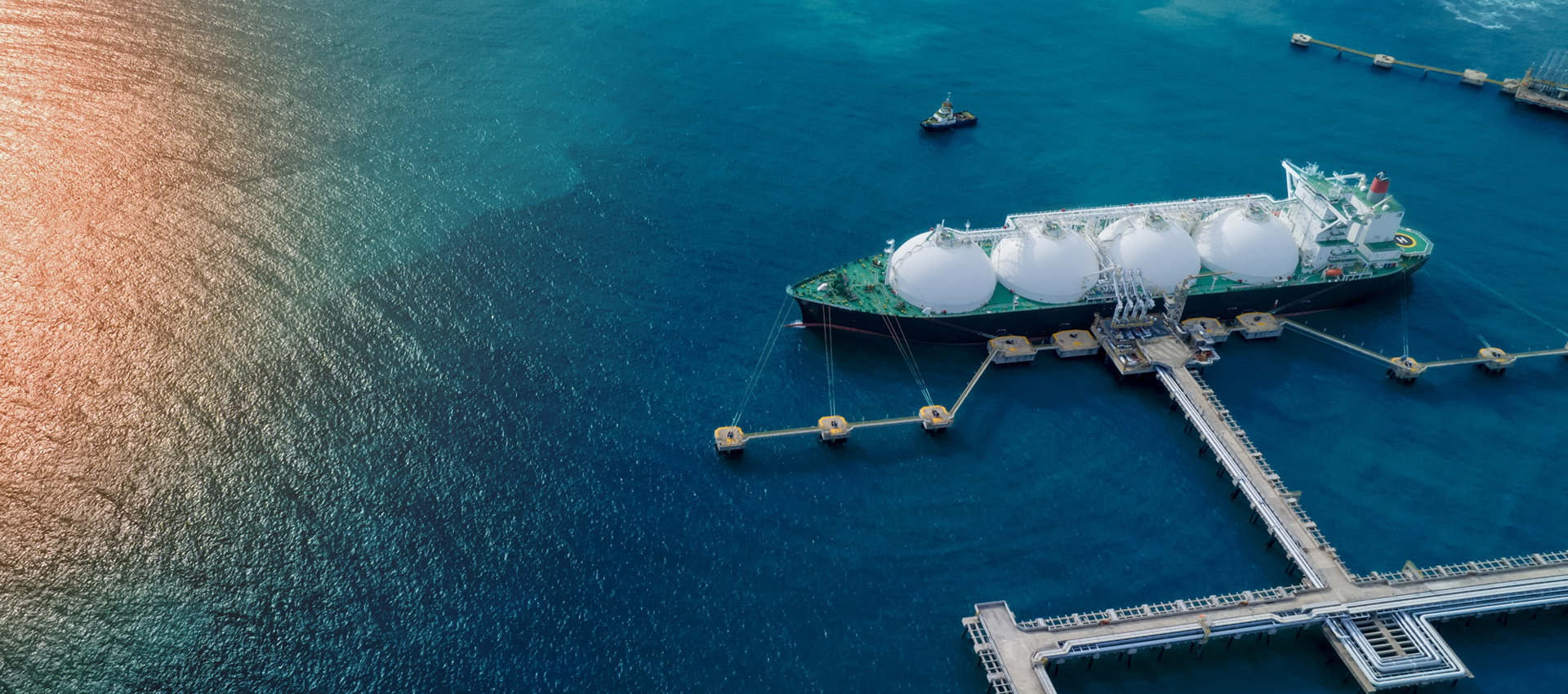 Natural Gas & Biogas Compressors